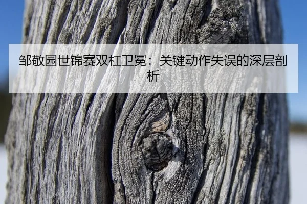zou-jing-yuan-shi-jin-sai-shuang-gang-wei-mian-guan-jian-dong-zuo-shi-wu-de-shen-ceng-pou-xi-3-726.jpg