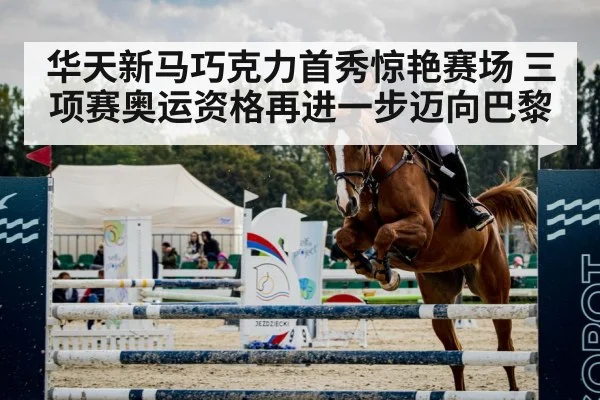 show jumping horse