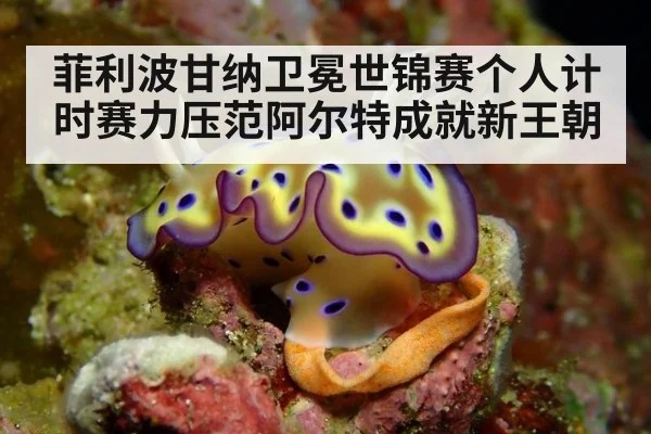 菲利波甘纳卫冕世锦赛个人计时赛力压范阿尔特成就新王朝